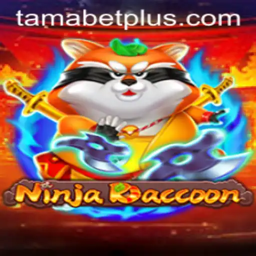 Exploring the Adventure of NinjaRaccoon